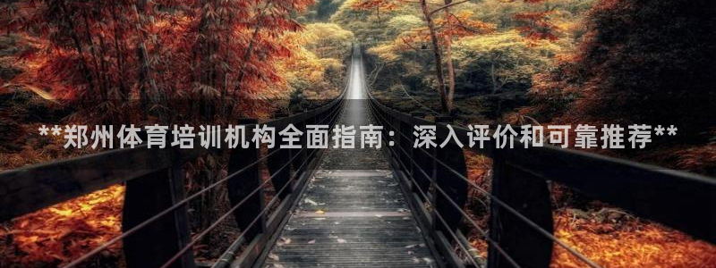 尊龙400：**郑州体育培训机构全面指南：深入评价和