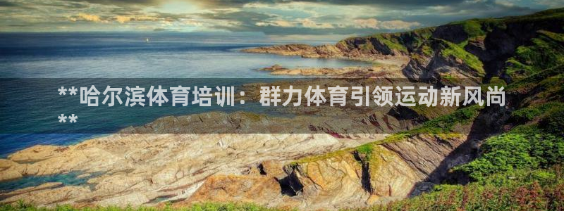 尊龙凯时人生就是搏!平台：**哈尔滨体育培训：群力体