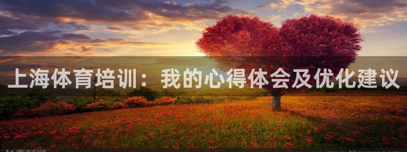 尊龙凯时人生就是搏平台：上海体育培训：我的心得体会及