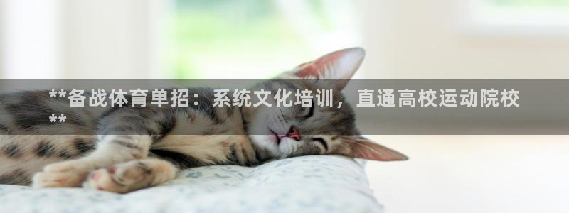 凯时首页地址：**备战体育单招：系统文化培训，直通高
