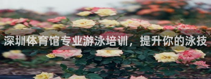 凯时在线平台官网：深圳体育馆专业游泳培训，提升你的泳