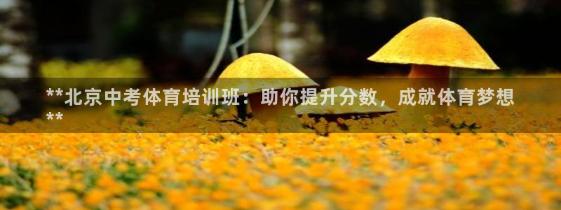 尊龙凯时有封银行卡的吗：**北京中考体育培训班：助你