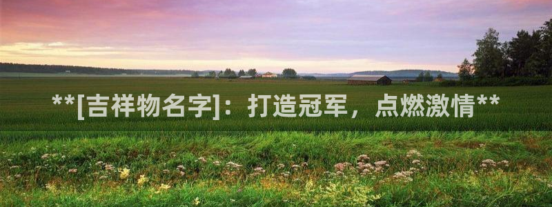 尊龙凯时几百万怎么下：**[吉祥物名字]：打造冠军，