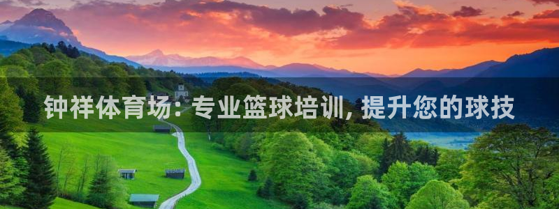 尊龙d88官网去来就送38：钟祥体育场: 专业篮球培