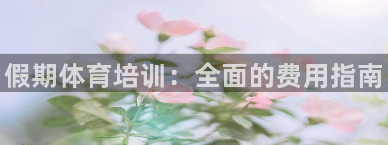 尊龙凯时游戏厅：假期体育培训：全面的费用指南