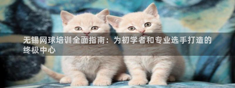 尊龙凯时人生就博官网登录：无锡网球培训全面指南：为初