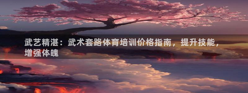 尊龙凯时官方网站下载：武艺精湛：武术套路体育培训价格