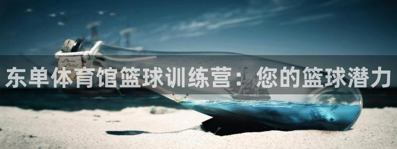 凯时赢来就送38：东单体育馆篮球训练营：您的篮球潜力