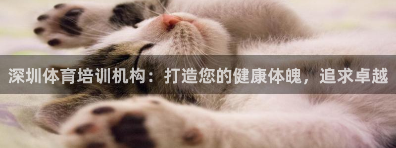 尊龙凯时能提现吗：深圳体育培训机构：打造您的健康体魄