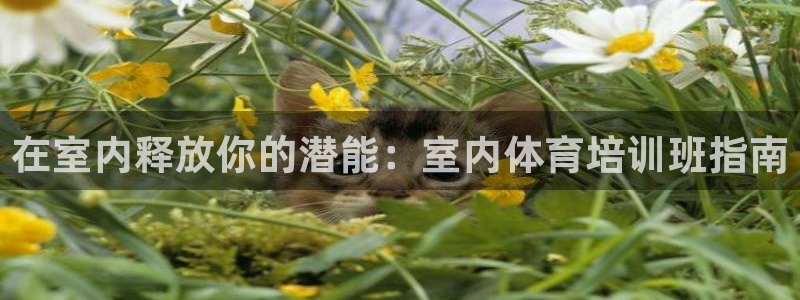 尊龙公司