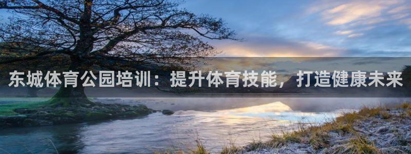 尊龙官网在哪里：东城体育公园培训：提升体育技能，打造