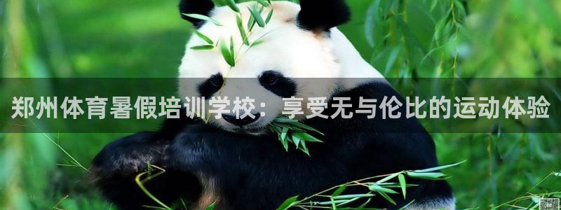 尊龙新版手机app下载：郑州体育暑假培训学校：享受无