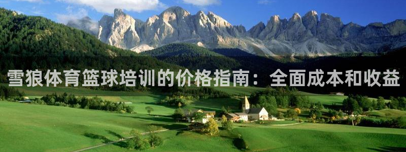 凯时k66官网登录：雪狼体育篮球培训的价格指南：全面