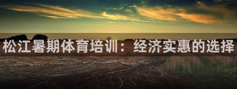 尊龙凯时官网网页版：松江暑期体育培训：经济实惠的选择