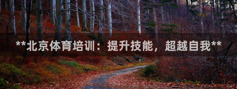 尊龙z6平台：**北京体育培训：提升技能，超越自我*