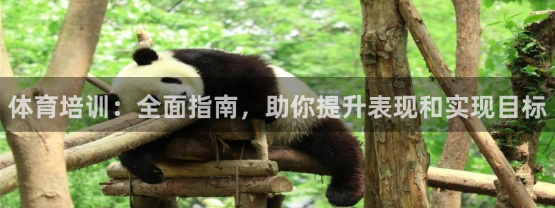 尊龙ag：体育培训：全面指南，助你提升表现和实现目标