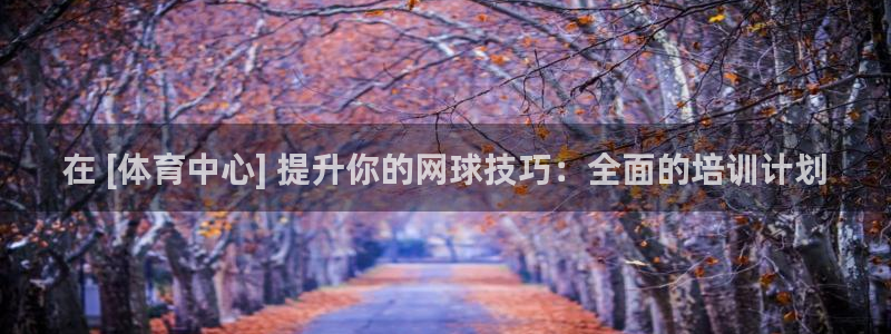 尊龙凯时logo：在 [体育中心] 提升你的网球技巧