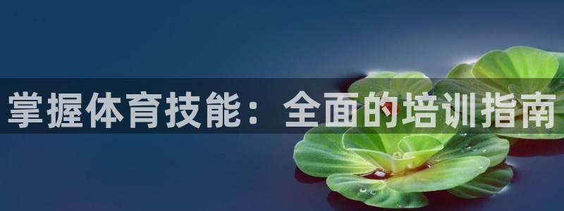 尊龙凯时几百万怎么下：掌握体育技能：全面的培训指南
