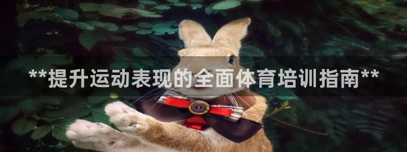 尊龙旗舰店：**提升运动表现的全面体育培训指南**