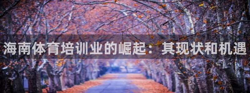 尊龙实业有限公司：海南体育培训业的崛起：其现状和机遇