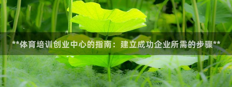 尊龙凯时能做退米么：**体育培训创业中心的指南：建立成功企业
