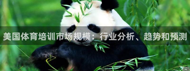 尊龙凯时·中国官方网站：美国体育培训市场规模：行业分析、趋势