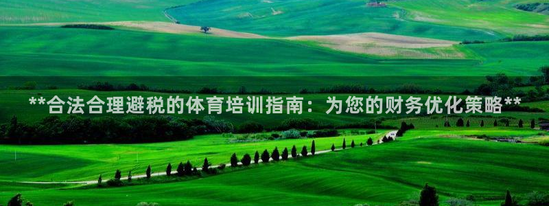 尊龙科技：**合法合理避税的体育培训指南：为您的财务