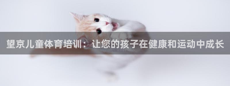 尊龙凯时 - 人生就是搏!：望京儿童体育培训：让您的孩子在健