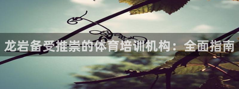下载尊龙：龙岩备受推崇的体育培训机构：全面指南