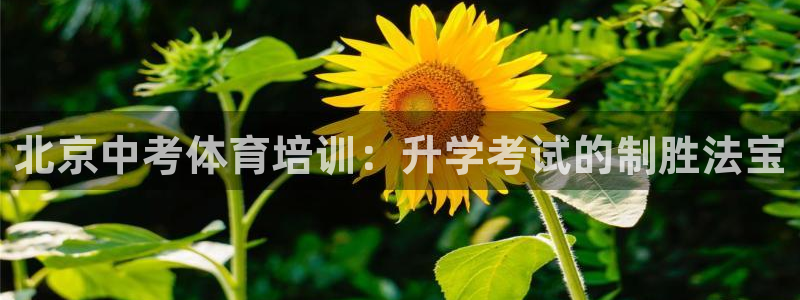 尊龙凯时ag旗舰厅试玩：北京中考体育培训：升学考试的