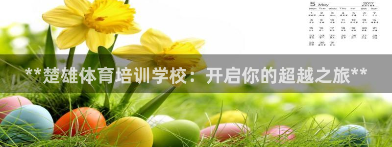尊龙百度百科：**楚雄体育培训学校：开启你的超越之旅