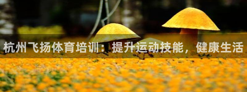 尊龙集团有限公司是国企吗：杭州飞扬体育培训：提升运动