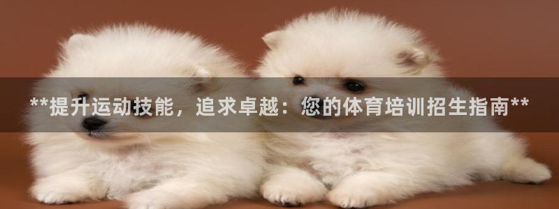尊龙凯时出款：**提升运动技能，追求卓越：您的体育培