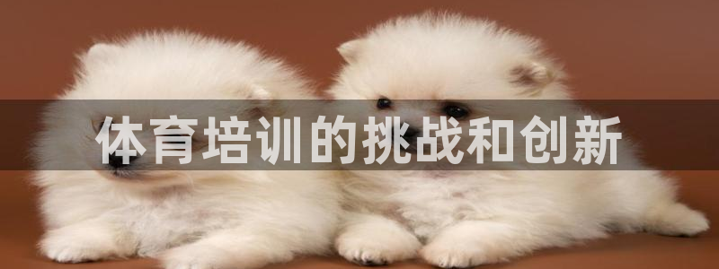 尊龙app官网登录：体育培训的挑战和创新