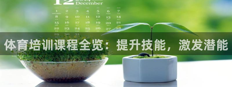 尊龙凯时白家乐：体育培训课程全览：提升技能，激发潜能