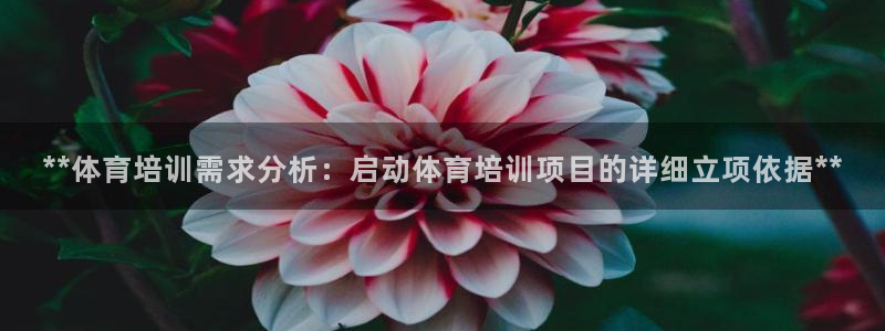 尊龙凯时出款：**体育培训需求分析：启动体育培训项目