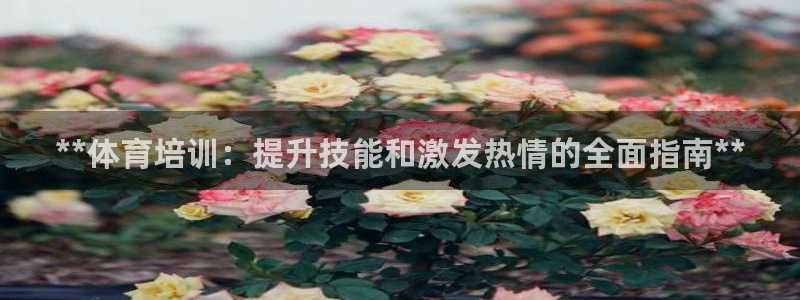 尊龙最经典的三个角色：**体育培训：提升技能和激发热