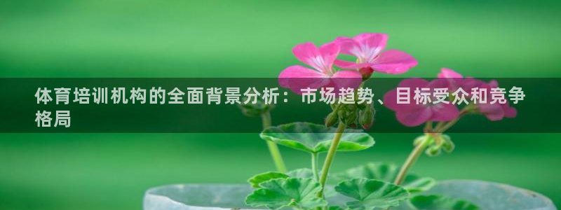 尊龙app怎么样：体育培训机构的全面背景分析：市场趋