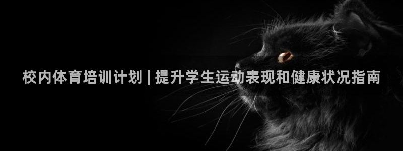 尊龙官网免费下载安装：校内体育培训计划 | 提升学生