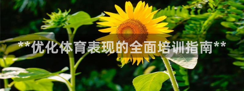 尊龙凯时ag旗舰厅官方网站：**优化体育表现的全面培