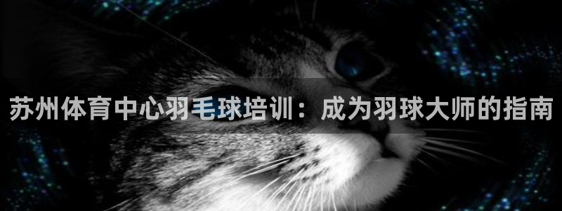 尊龙凯时麻将胡了：苏州体育中心羽毛球培训：成为羽球大