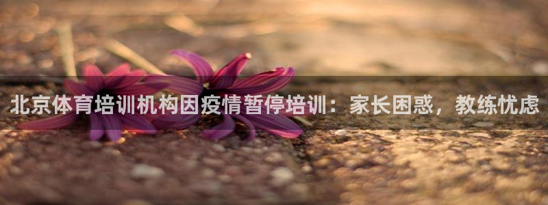 凯时尊龙官网网址：北京体育培训机构因疫情暂停培训：家