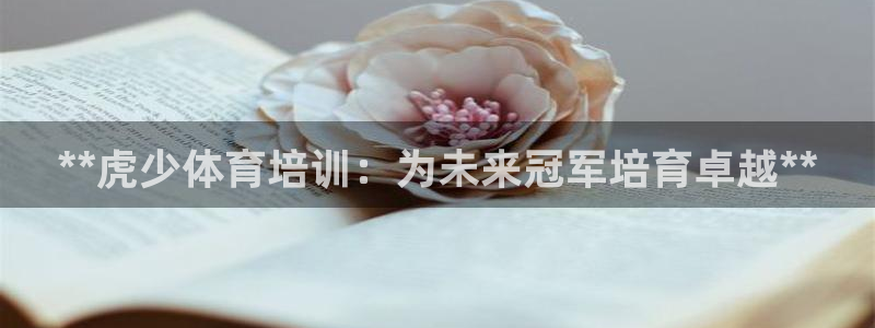 尊龙人生就是博i可靠吗：**虎少体育培训：为未来冠军