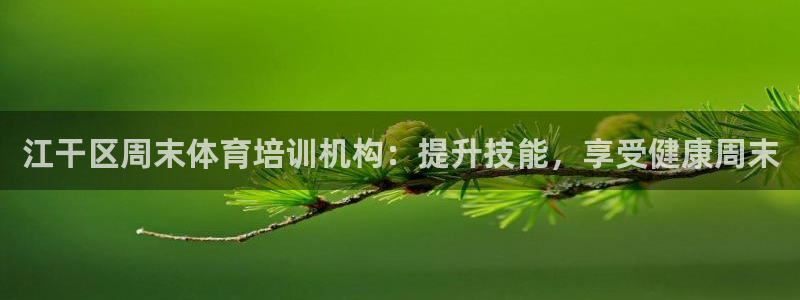 尊龙凯时产品系列：江干区周末体育培训机构：提升技能，享受健康