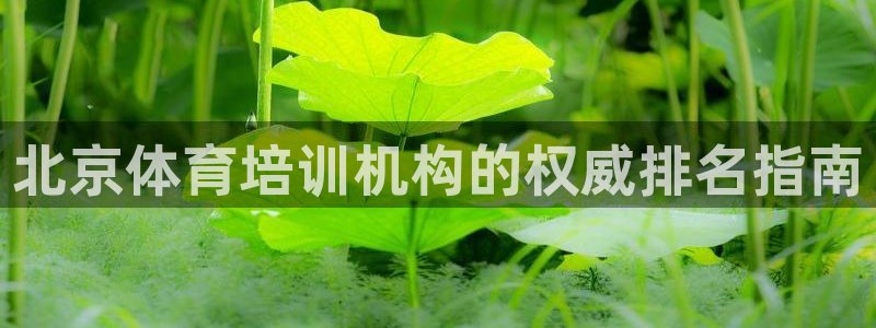 尊龙凯时麻将胡了：北京体育培训机构的权威排名指南