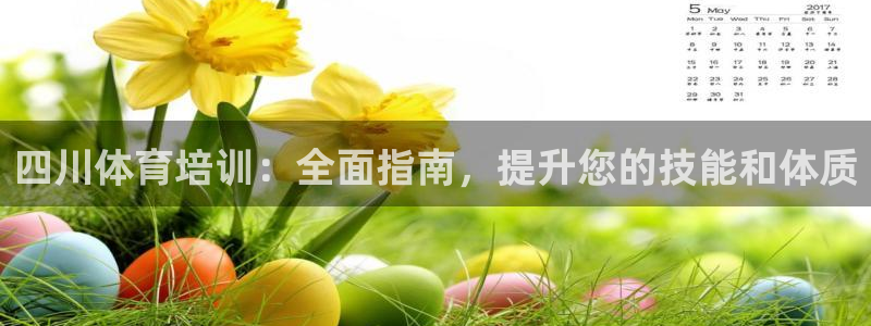 尊龙信息科技有限公司：四川体育培训：全面指南，提升您
