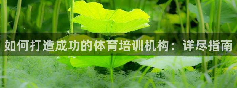 尊龙d88官网新版：如何打造成功的体育培训机构：详尽