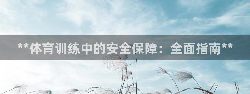 尊龙凯时有假么：**体育训练中的安全保障：全面指南*
