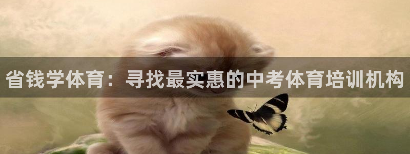 尊龙-人生就是博：省钱学体育：寻找最实惠的中考体育培