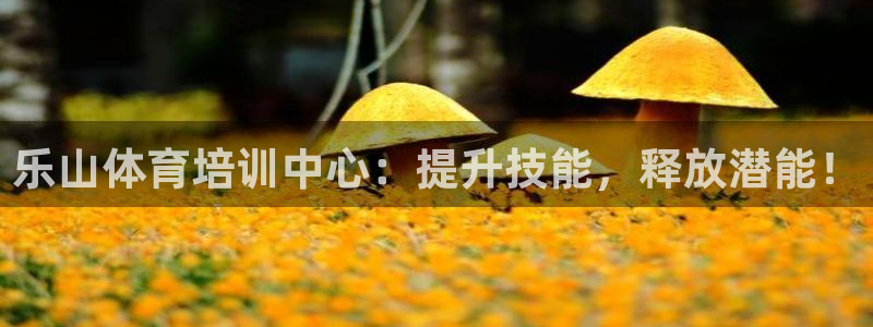 尊龙凯时总部在哪里：乐山体育培训中心：提升技能，释放